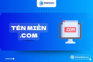 tên miền dot com