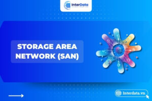 SAN (Storage Area Network)