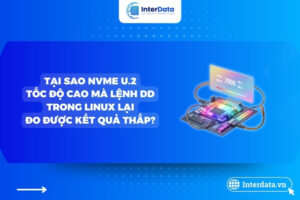 Đo tốc độ NVMe U2