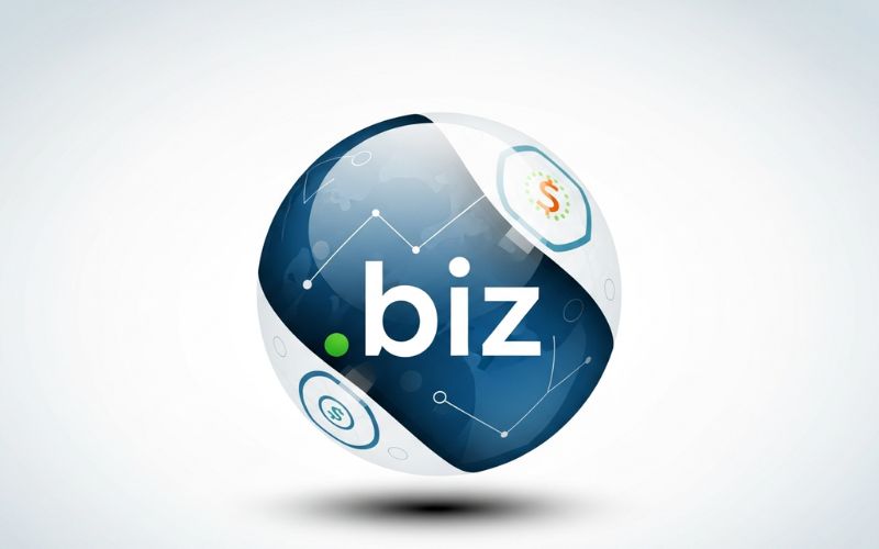 Lưu ý khi khi đăng ký domain .biz.vn