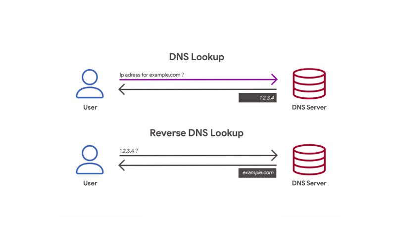 Reverse DNS dùng để làm gì?