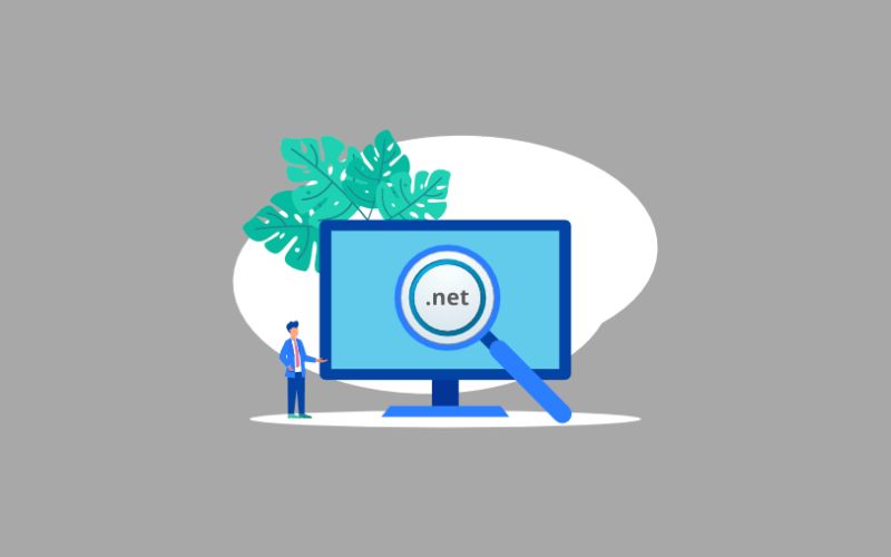 Tên miền .net là gì? Có tốt cho SEO? So với .com & Trường hợp dùng 1 Tên miền .net là gì