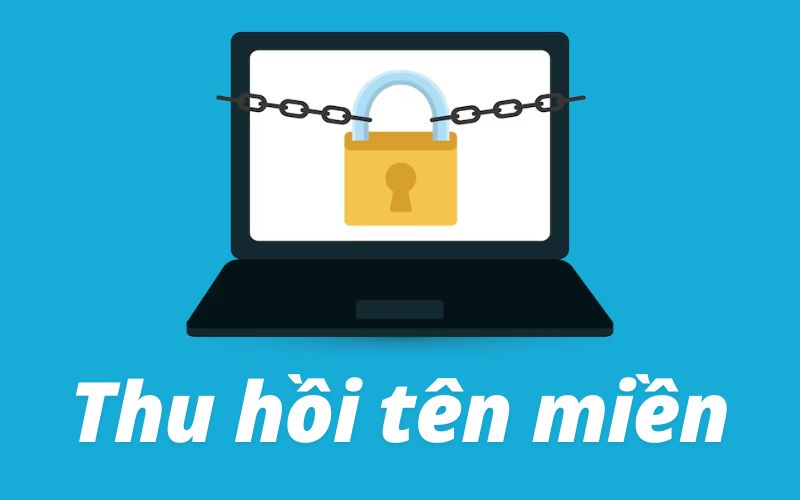 Thu hồi tên miền là gì