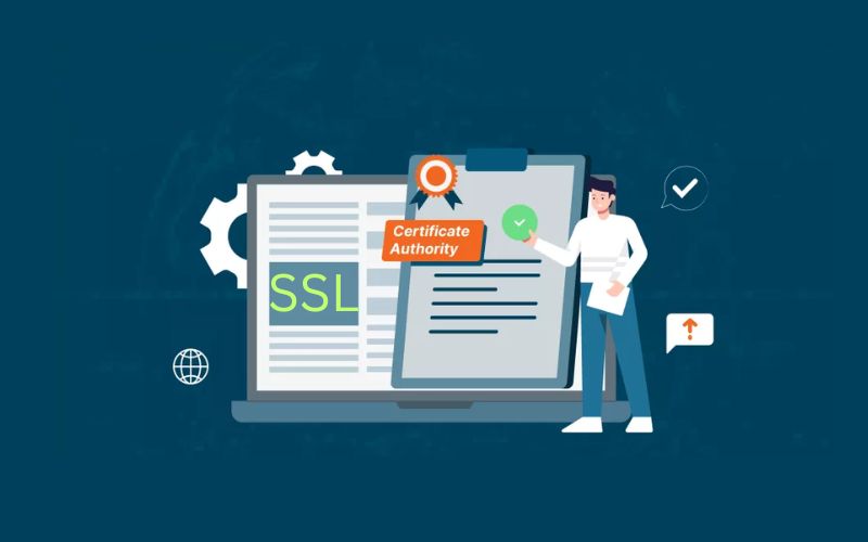 Certificate Authority là gì? Vai trò, Các loại & Tiêu chí chọn 3 Các loại Certificate Authority phổ biến hiện nay