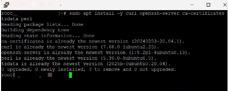 Quy trình 6 bước cài đăt GitLab trên VPS Linux đơn giản, nhanh 3 Cài đặt các gói cần thiết
