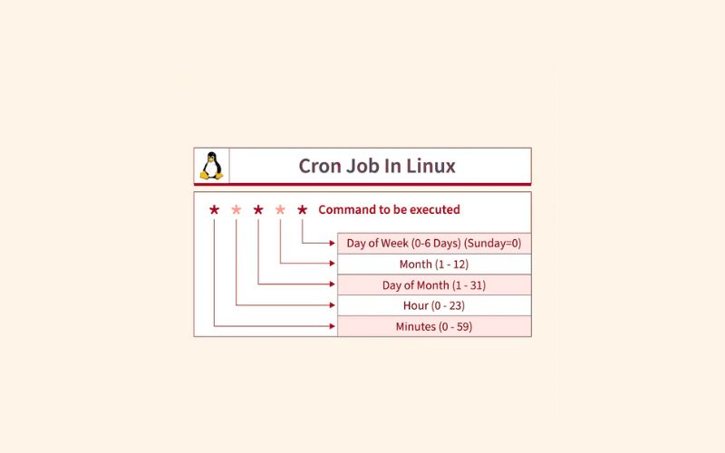 Hướng dẫn Cron job VPS Linux đơn giản, chi tiết, ai cũng làm được 2 Cấu trúc chuẩn của một Cron Job