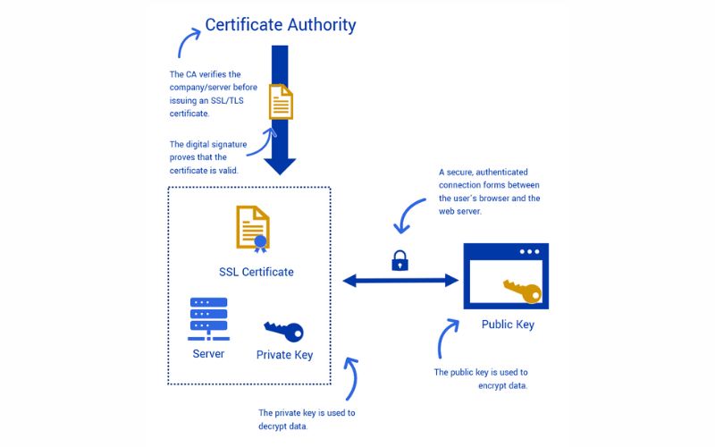 Certificate Authority là gì? Vai trò, Các loại & Tiêu chí chọn 1 Certificate Authority là gì?