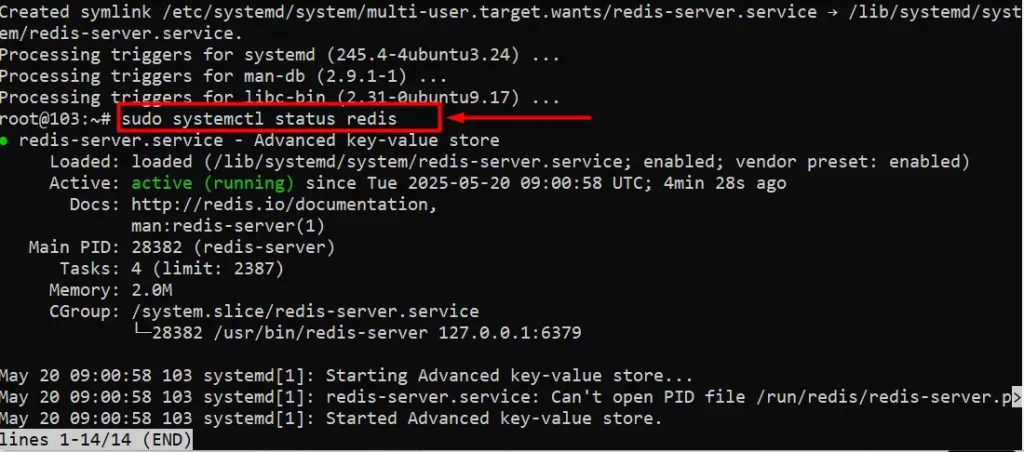 Kiểm tra Redis-server đã hoạt động chưa