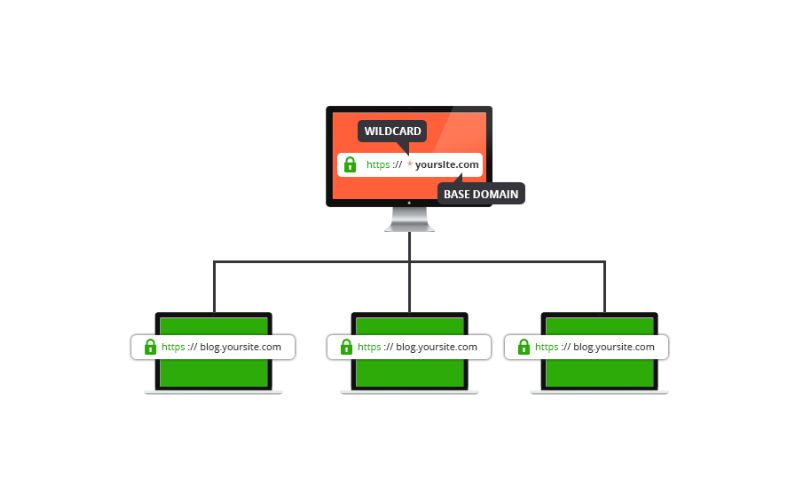 Wildcard SSL là gì? Bảo mật mọi Subdomain – Tiết kiệm chi phí 6 Lưu ý khi sử dụng chứng chỉ Wildcard SSL