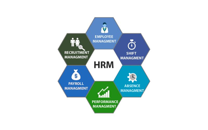 Phân loại phần mềm quản lý nhân sự HRM