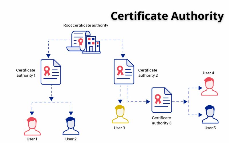 Certificate Authority là gì? Vai trò, Các loại & Tiêu chí chọn 2 Vai trò và tầm quan trọng của CA