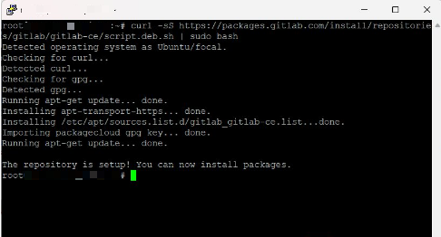 Quy trình 6 bước cài đăt GitLab trên VPS Linux đơn giản, nhanh 5 thêm repository GitLab