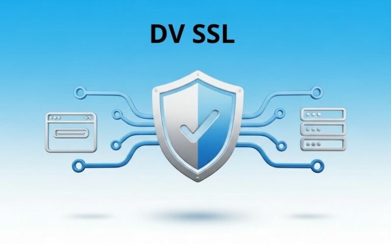 DV SSL là gì? Ai nên sử dụng & So sánh DV với OV, EV [2026]