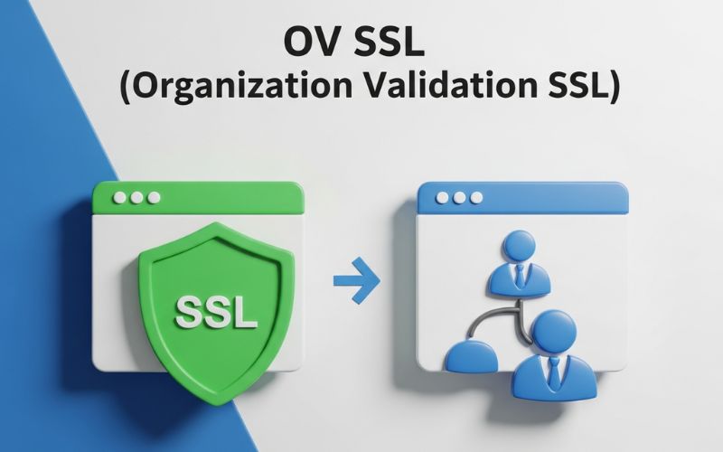 OV SSL là gì? Ưu/Nhược điểm & so sánh OV SSL với DV, EV 5 Đối tượng sử dụng OV SSL