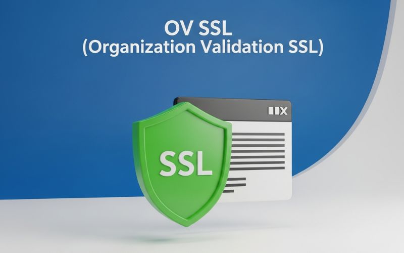 OV SSL là gì? Ưu/Nhược điểm & so sánh OV SSL với DV, EV 1 OV SSL là gì