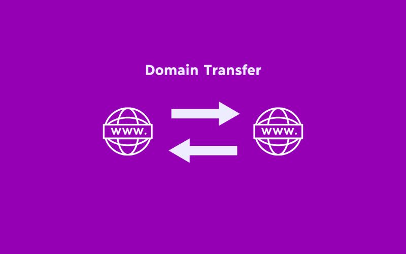 Tiêu chí chọn nhà cung cấp Transfer Domain