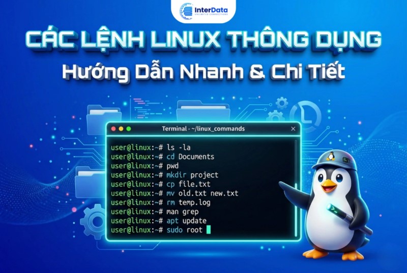 Các lệnh Linux thông dụng