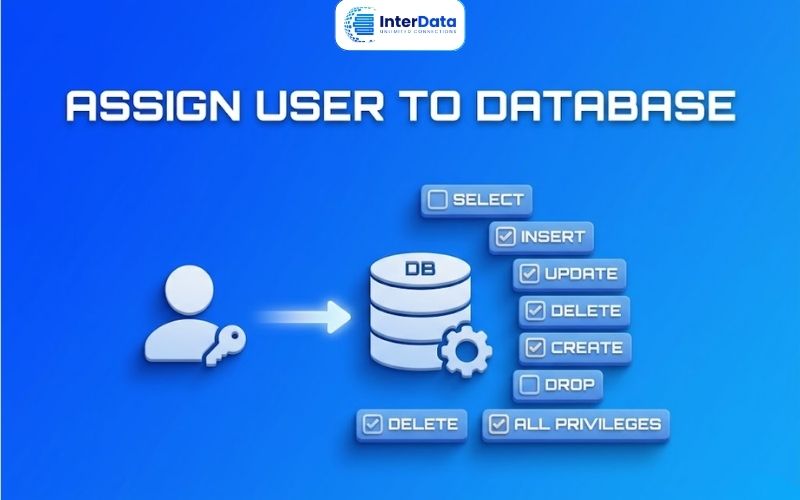 Quản lý database trên cPanel: tạo MySQL DB, tạo user, cấp quyền,... đầy đủ 5 Cấp quyền database user trong cPanel
