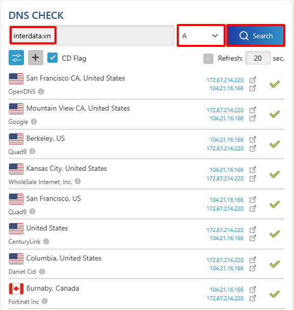 Website không hiển thị sau khi trỏ Domain: 6 Bước kiểm tra chuẩn 1 Check qua DNS