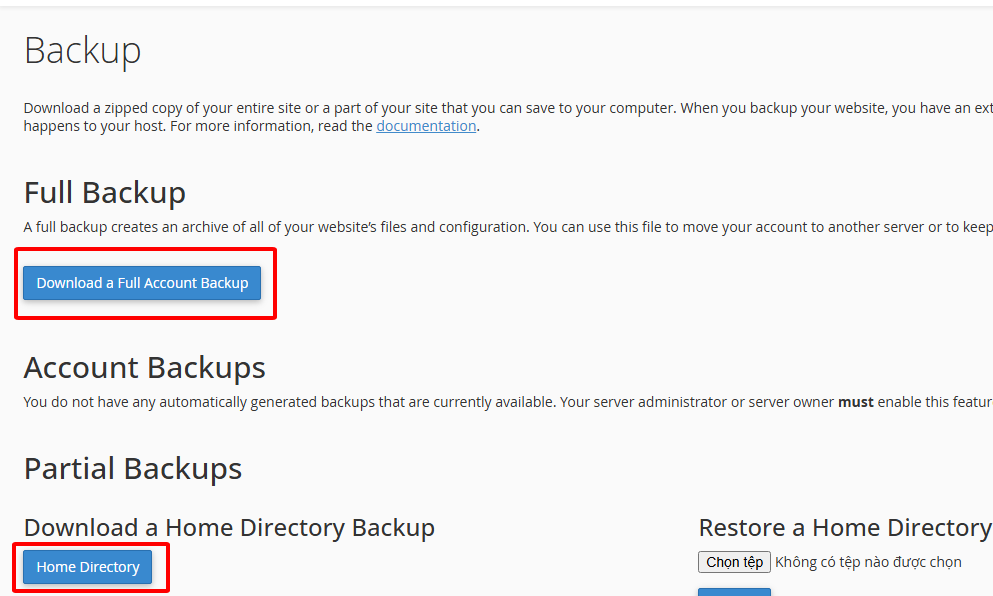 Backup Hosting cPanel: Hướng dẫn backup Hosting cPanel (Từ A-Z) 4 Chọn hình thức Backup