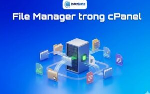 File Manager trong cPanel