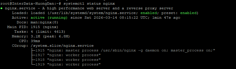 Trạng thái cài đặt Nginx cài đặt thành công