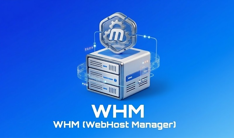 cPanel và WHM Khác Nhau Như Thế Nào? Phân Biệt Chi Tiết 2 WHM (WebHost Manager)