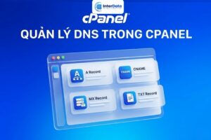 quản lý dns trong cpanel