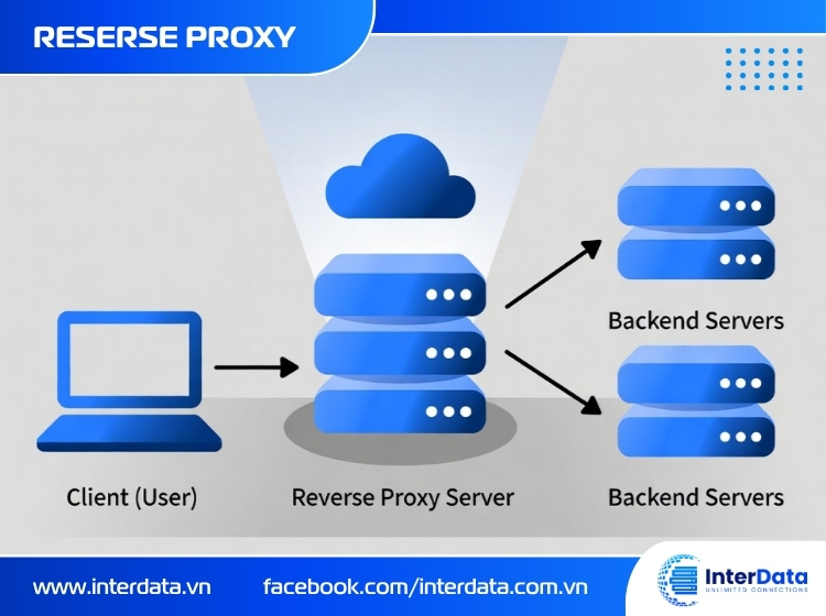 Reverse Proxy là gì? Bí mật sau các Website tỷ traffic 3 Reverse Proxy