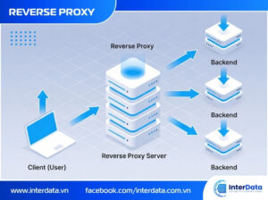 Reverse Proxy