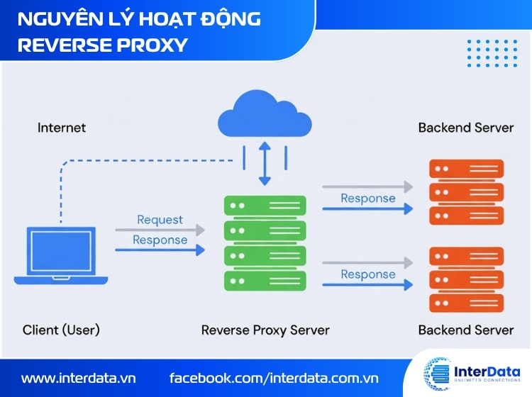 Reverse Proxy là gì? Bí mật sau các Website tỷ traffic 2 Sơ đồ nguyên lý hoạt động của Reverse Proxy