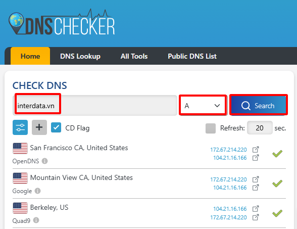 Check IP domain bằng DNS Checker