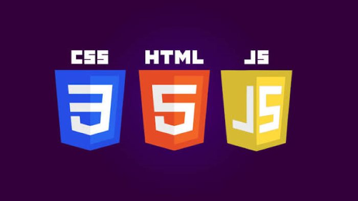 HTML, CSS, JavaScript