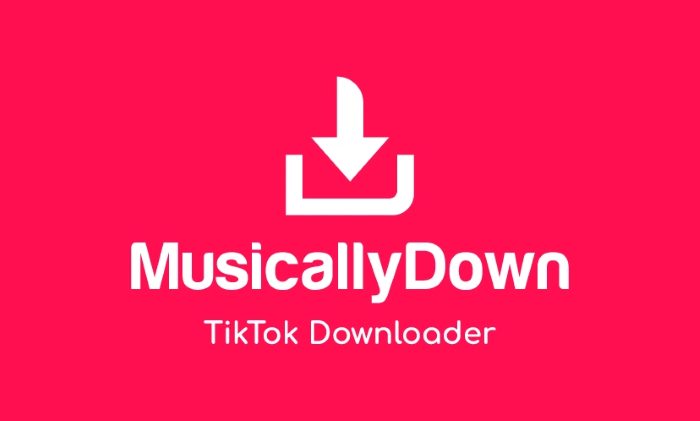 10 Cách Xóa Logo TikTok (Watermark) Miễn Phí, Cực Nhanh 4 MusicallyDown