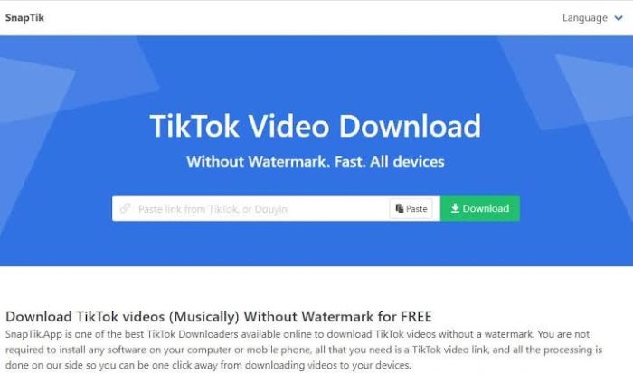 10 Cách Xóa Logo TikTok (Watermark) Miễn Phí, Cực Nhanh 2 SnapTik