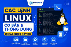 Các Lệnh Linux Cơ Bản và Thông Dụng (Cheat Sheet Đầy Đủ)