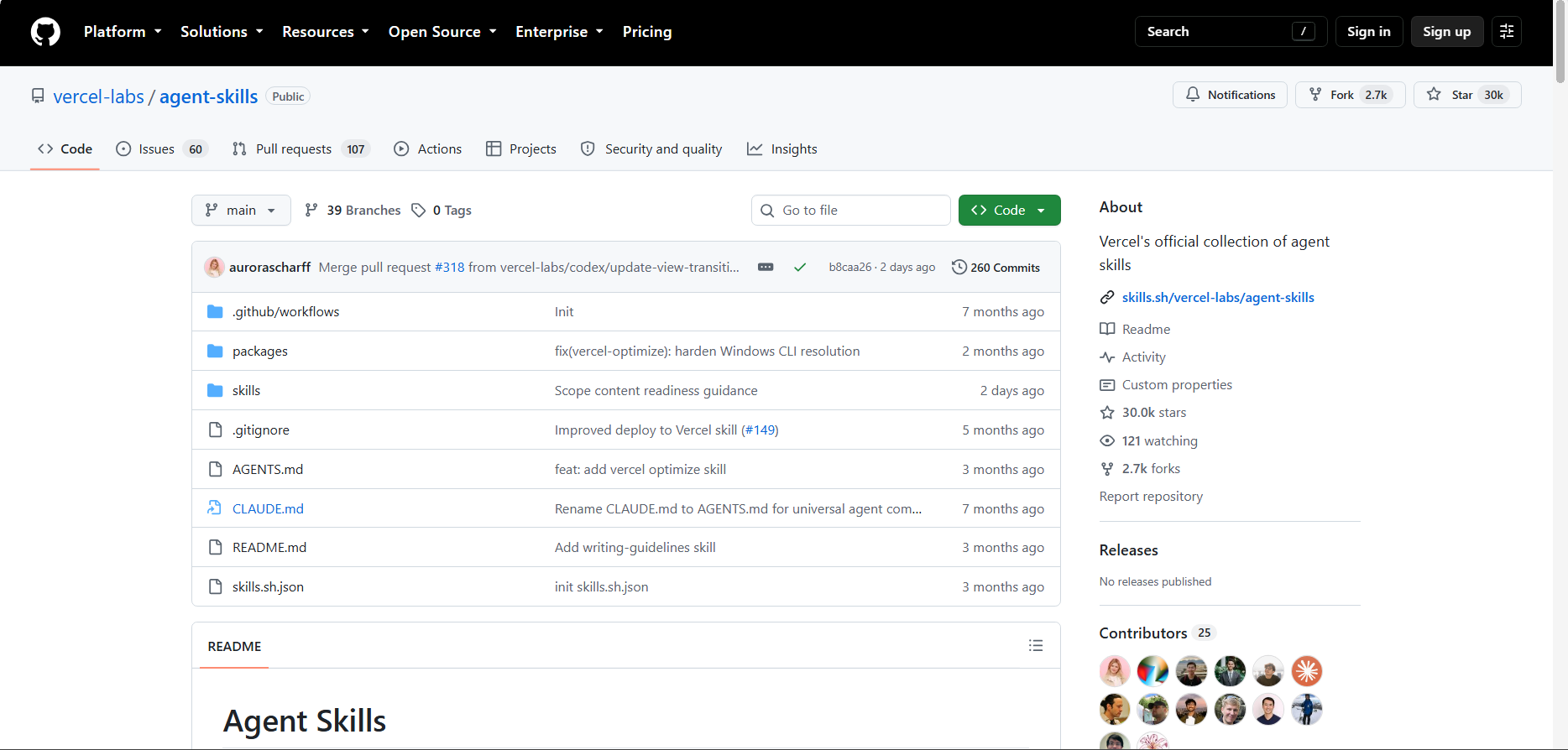 Vercel Labs Agent Skills