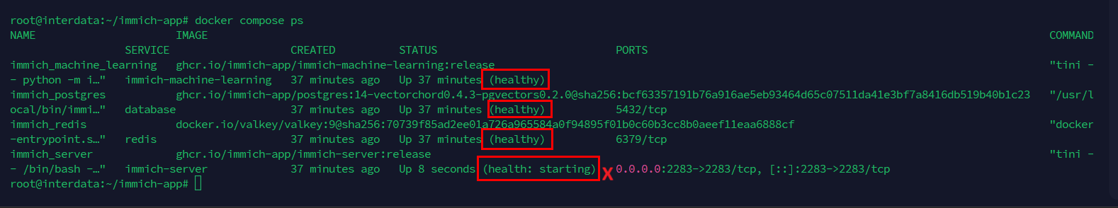 Hướng Dẫn Cài Đặt Và Sử Dụng Immich Trên Ubuntu Bằng Docker Compose 4 Kiểm tra trạng thái Docker compose