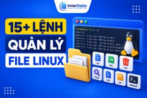 các lệnh quản lý file Linux 1