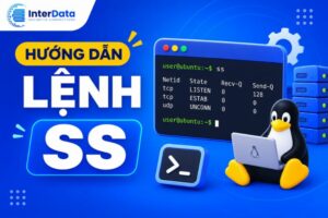 Hướng dẫn lệnh ss