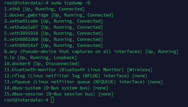 Hướng Dẫn Sử Dụng Lệnh tcpdump Trên Linux Từ Cơ Bản Đến Nâng Cao 4 Liệt kê các giao diện mạng khả dụng bằng tcpdump