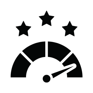 Performance icon